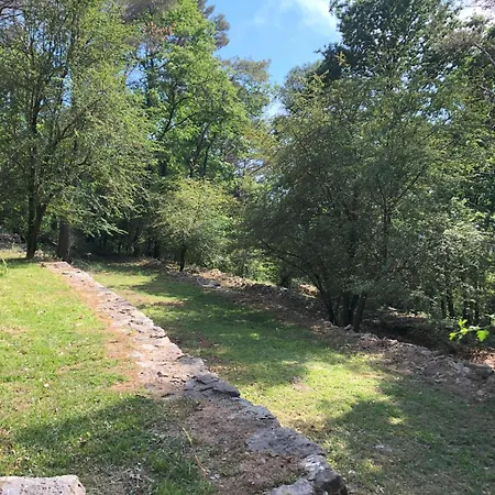 Casa Nel Bosco Sul Golfo Dei Poeti - Cipressi