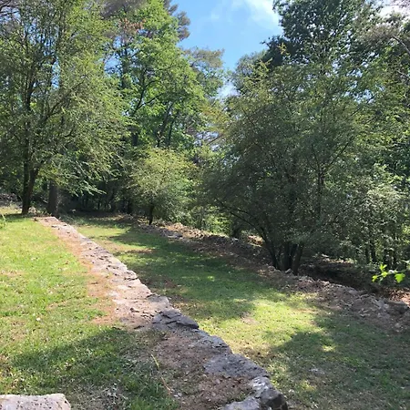 Casa Nel Bosco Sul Golfo Dei Poeti - Cipressi